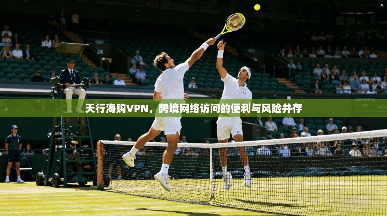 天行海购VPN,跨境网络访问的便利与风险并存 天行海购VPN,跨境网络访问的便利与风险并存
