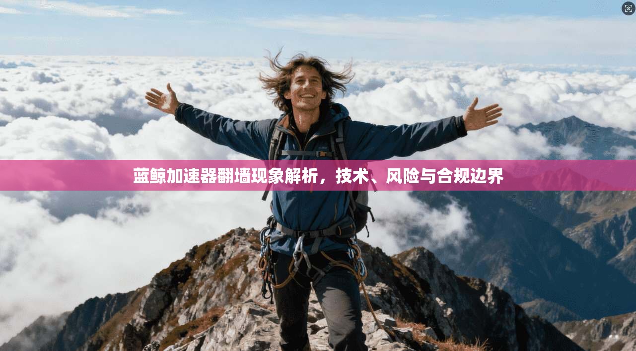 蓝鲸加速器翻墙现象解析,技术、风险与合规边界 蓝鲸加速器翻墙现象解析,技术、风险与合规边界