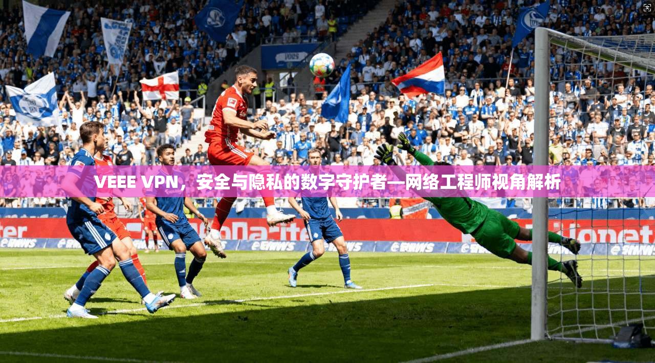 VEEE VPN，安全与隐私的数字守护者—网络工程师视角解析