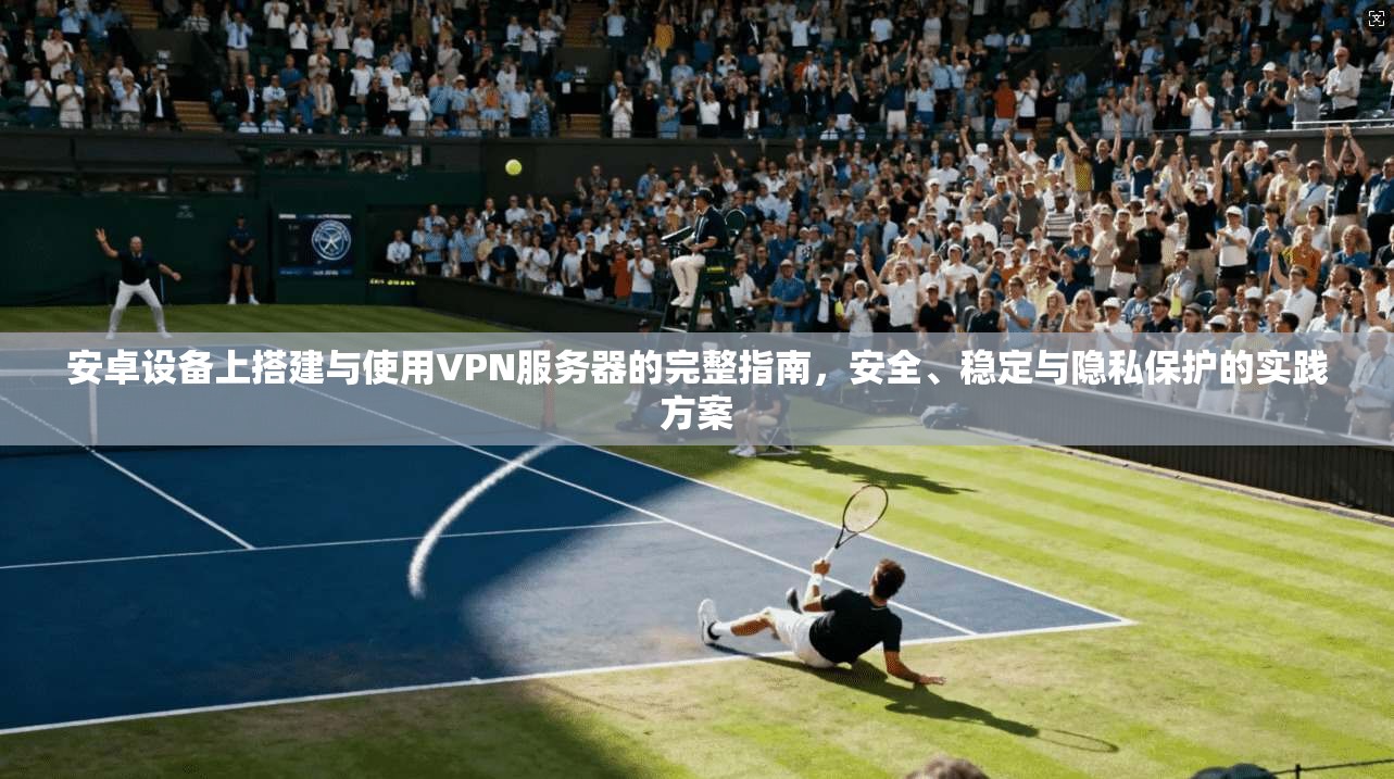 安卓设备上搭建与使用VPN服务器的完整指南，安全、稳定与隐私保护的实践方案