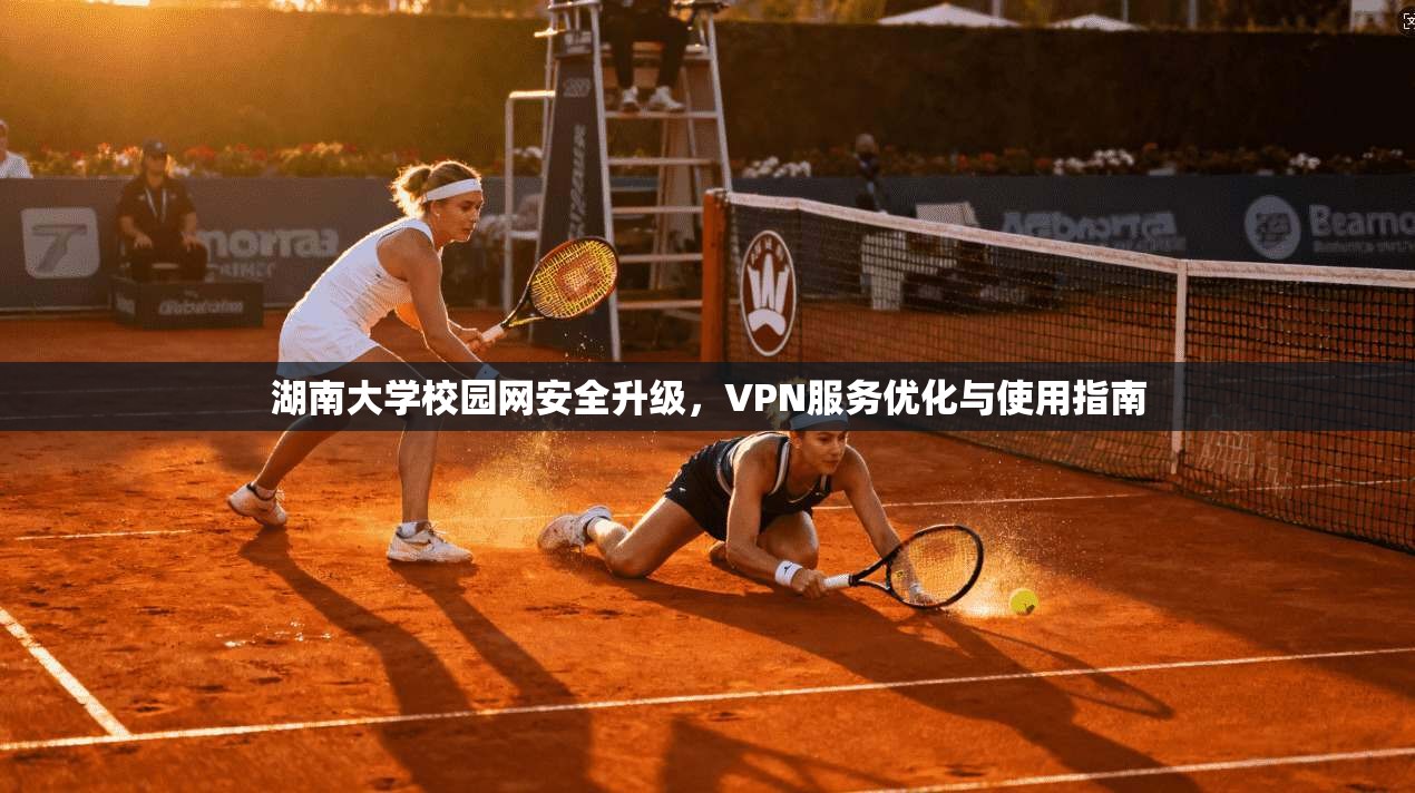 湖南大学校园网安全升级,VPN服务优化与使用指南 湖南大学校园网安全升级,VPN服务优化与使用指南