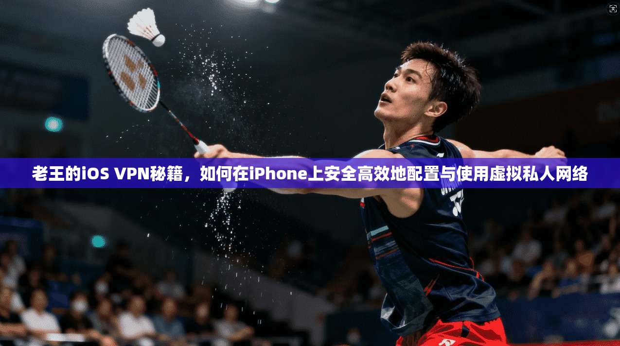 老王的iOS VPN秘籍,如何在iPhone上安全高效地配置与使用虚拟私人网络 老王的iOS VPN秘籍,如何在iPhone上安全高效地配置与使用虚拟私人网络