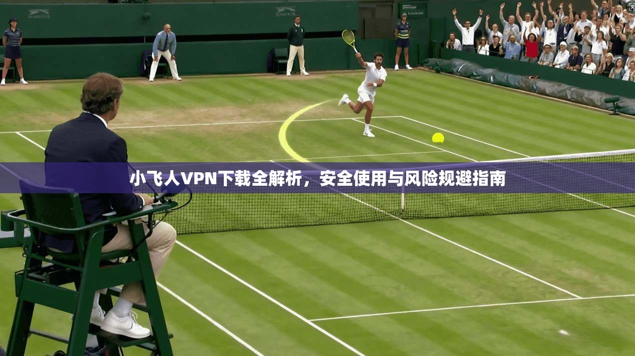 小飞人VPN下载全解析,安全使用与风险规避指南 小飞人VPN下载全解析,安全使用与风险规避指南