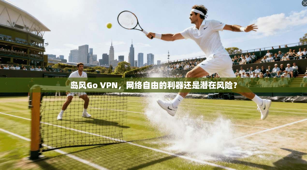 岛风Go VPN,网络自由的利器还是潜在风险? 岛风Go VPN,网络自由的利器还是潜在风险?