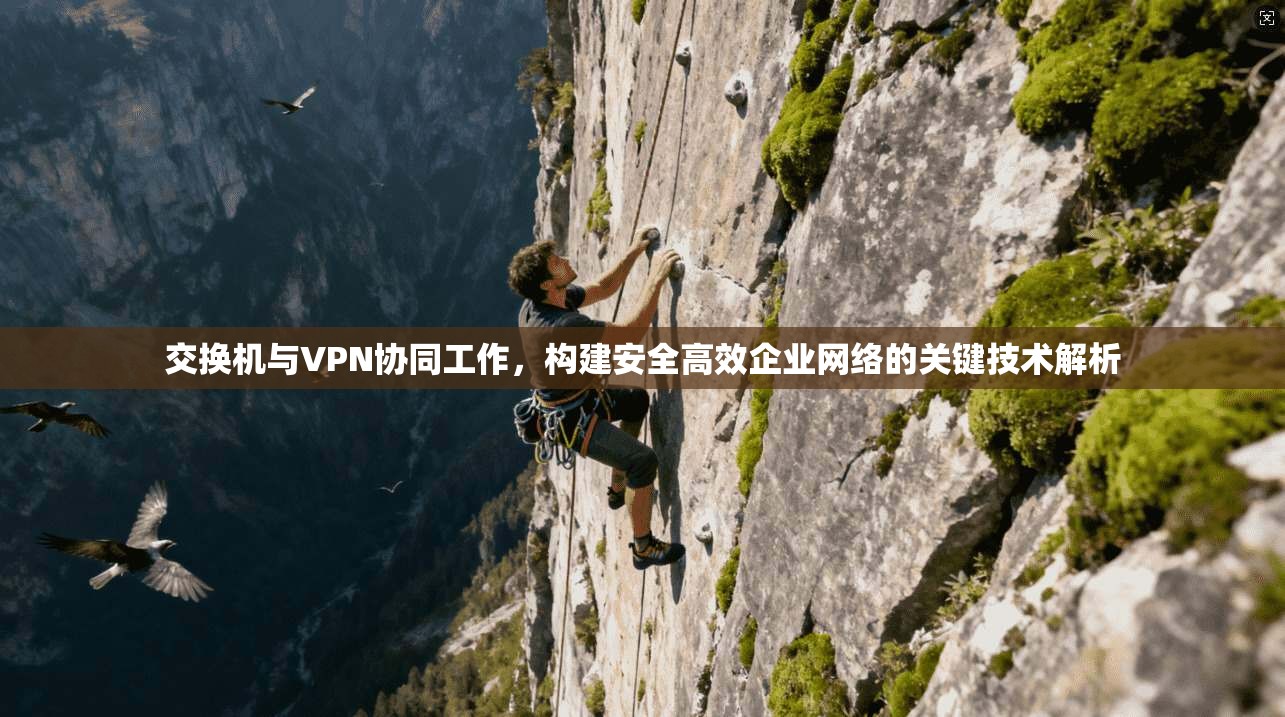 交换机与VPN协同工作,构建安全高效企业网络的关键技术解析 交换机与VPN协同工作,构建安全高效企业网络的关键技术解析