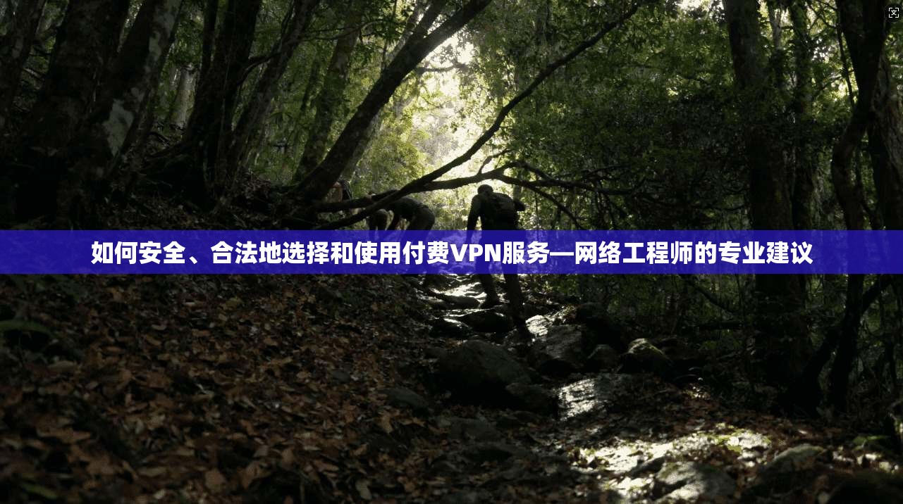 如何安全、合法地选择和使用付费VPN服务—网络工程师的专业建议 如何安全、合法地选择和使用付费VPN服务—网络工程师的专业建议