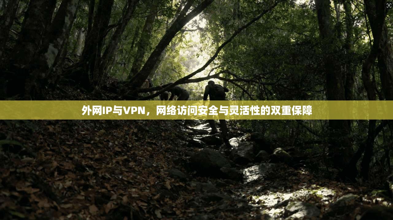 外网IP与VPN,网络访问安全与灵活性的双重保障