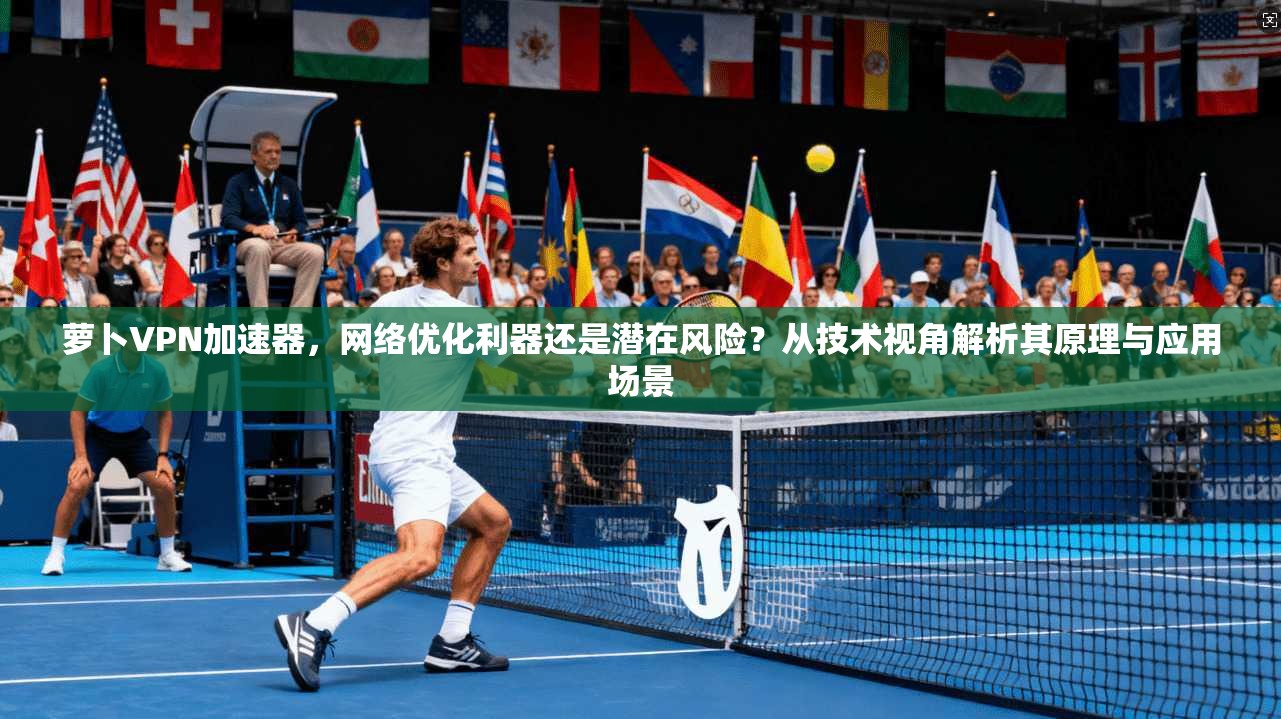 萝卜VPN加速器,网络优化利器还是潜在风险?从技术视角解析其原理与应用场景