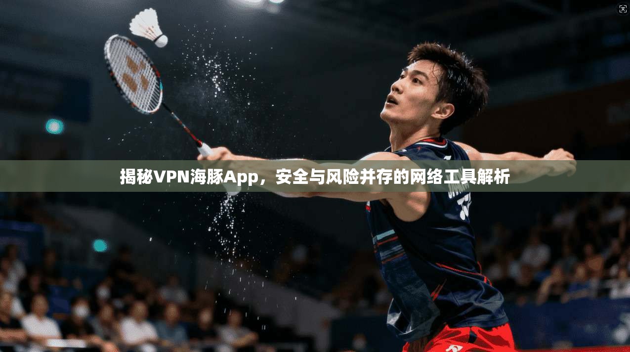 揭秘VPN海豚App,安全与风险并存的网络工具解析
