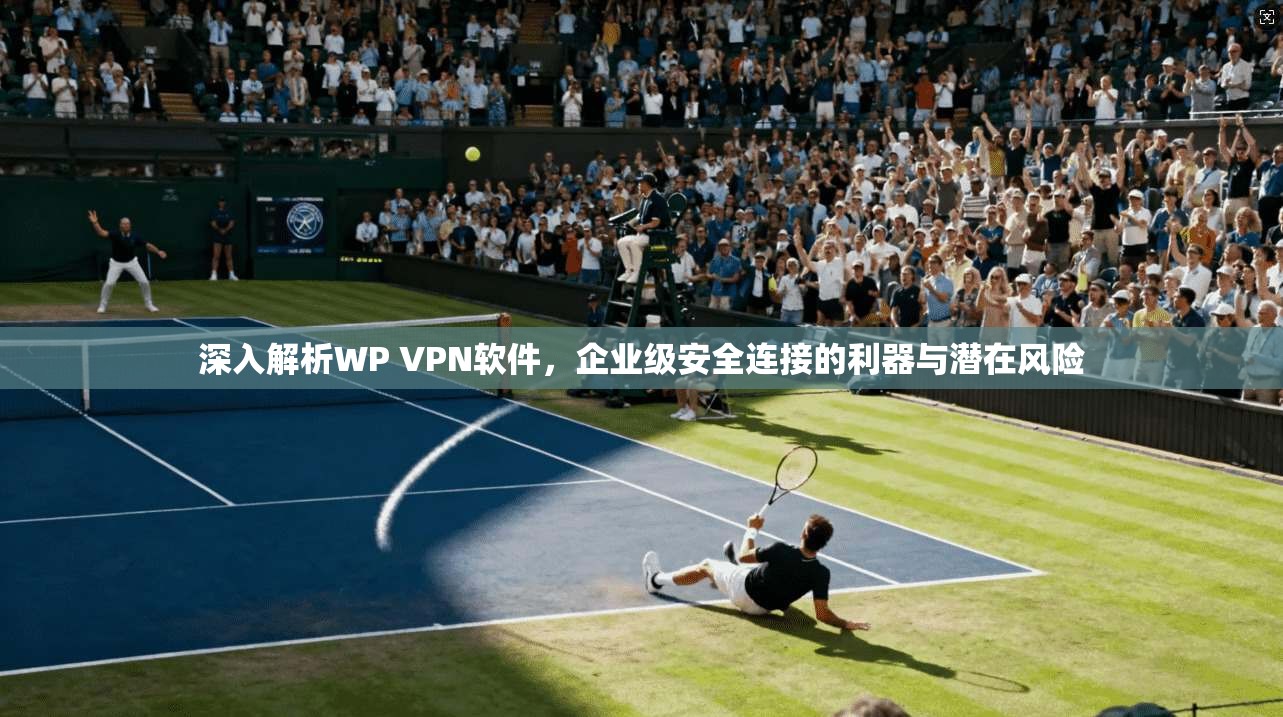 深入解析WP VPN软件，企业级安全连接的利器与潜在风险