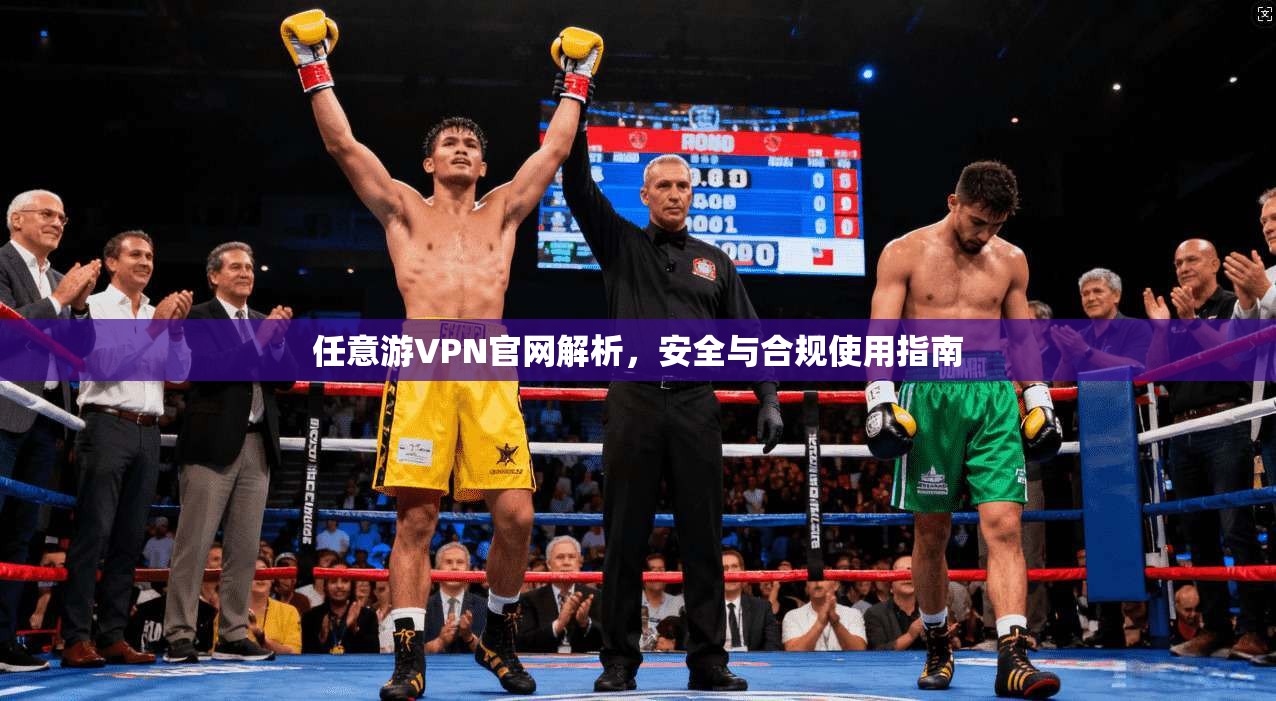 任意游VPN官网解析，安全与合规使用指南