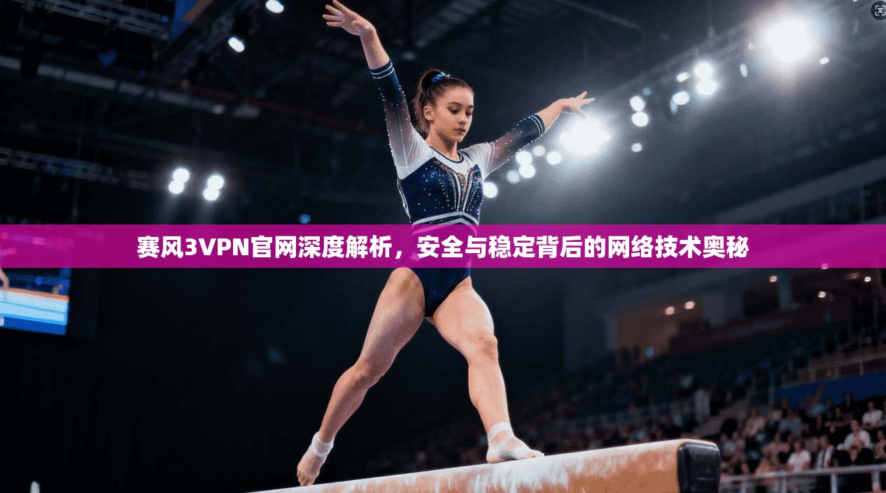 赛风3VPN官网深度解析，安全与稳定背后的网络技术奥秘