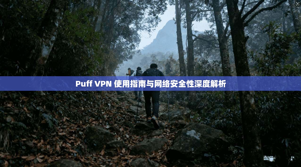 Puff VPN 使用指南与网络安全性深度解析