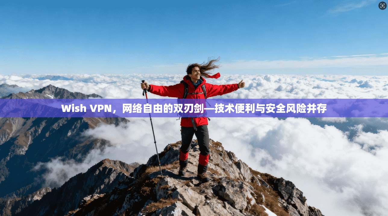 Wish VPN，网络自由的双刃剑—技术便利与安全风险并存
