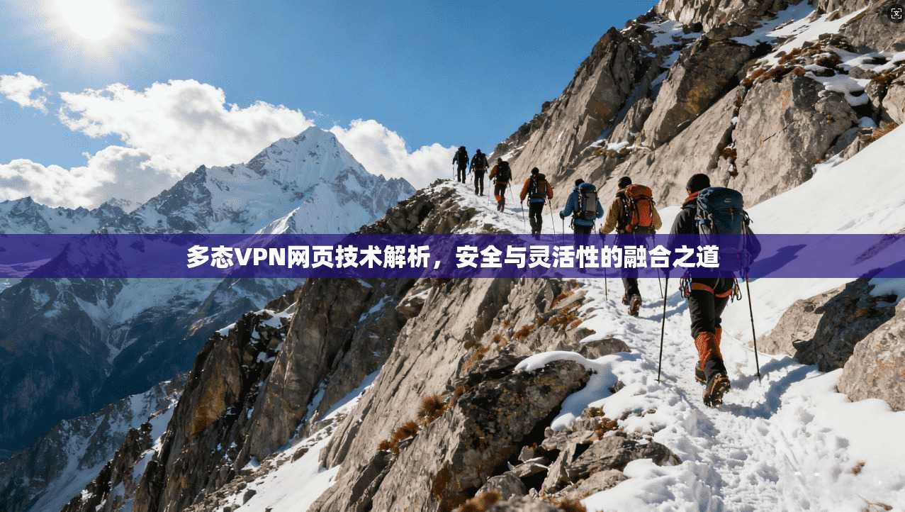 多态VPN网页技术解析,安全与灵活性的融合之道