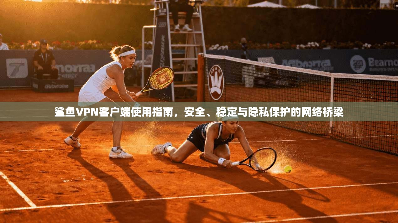 鲨鱼VPN客户端使用指南,安全、稳定与隐私保护的网络桥梁