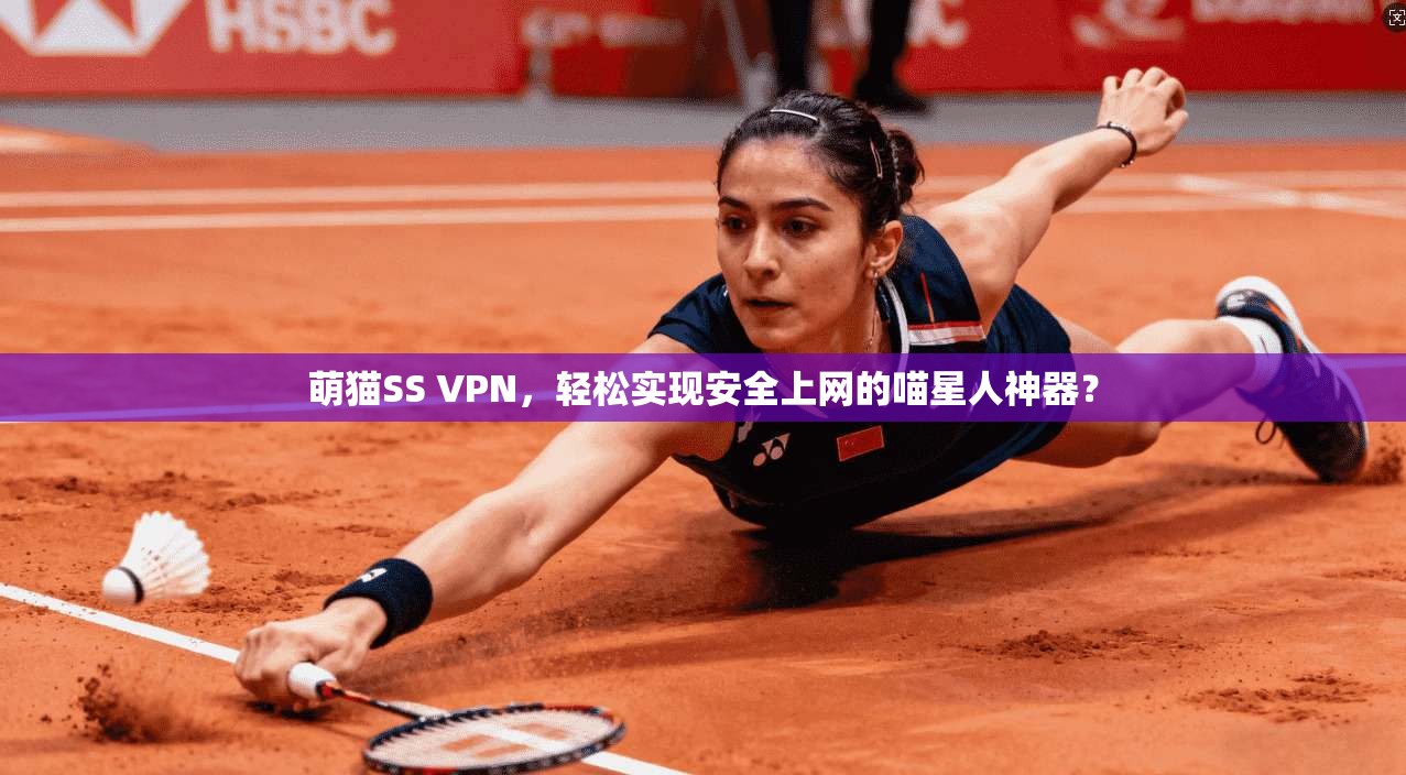 萌猫SS VPN，轻松实现安全上网的喵星人神器？