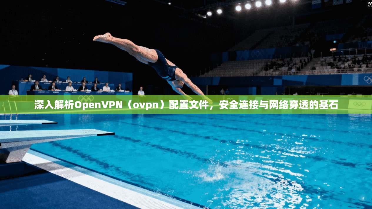 深入解析OpenVPN（ovpn）配置文件，安全连接与网络穿透的基石