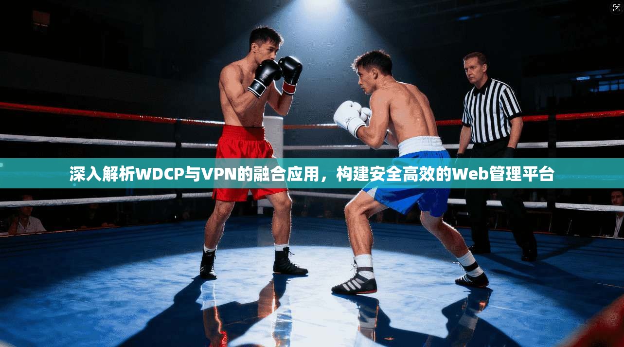 深入解析WDCP与VPN的融合应用，构建安全高效的Web管理平台