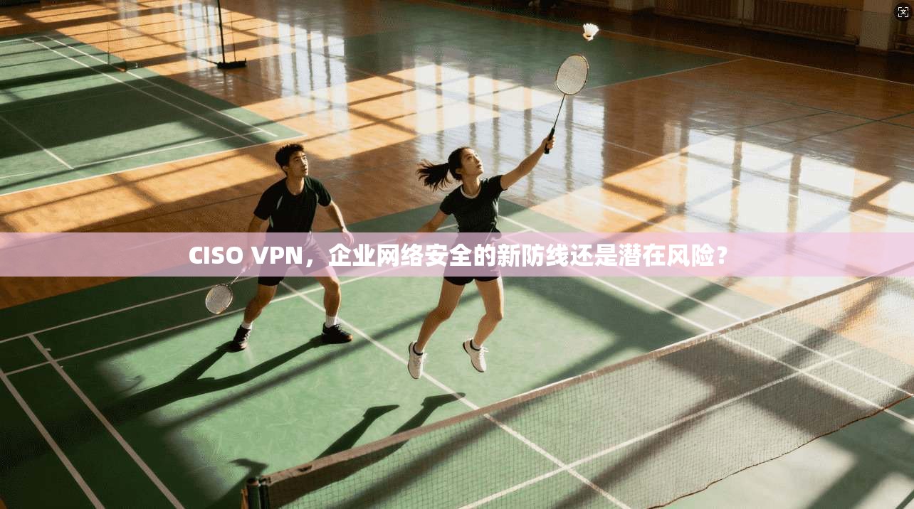 CISO VPN,企业网络安全的新防线还是潜在风险?