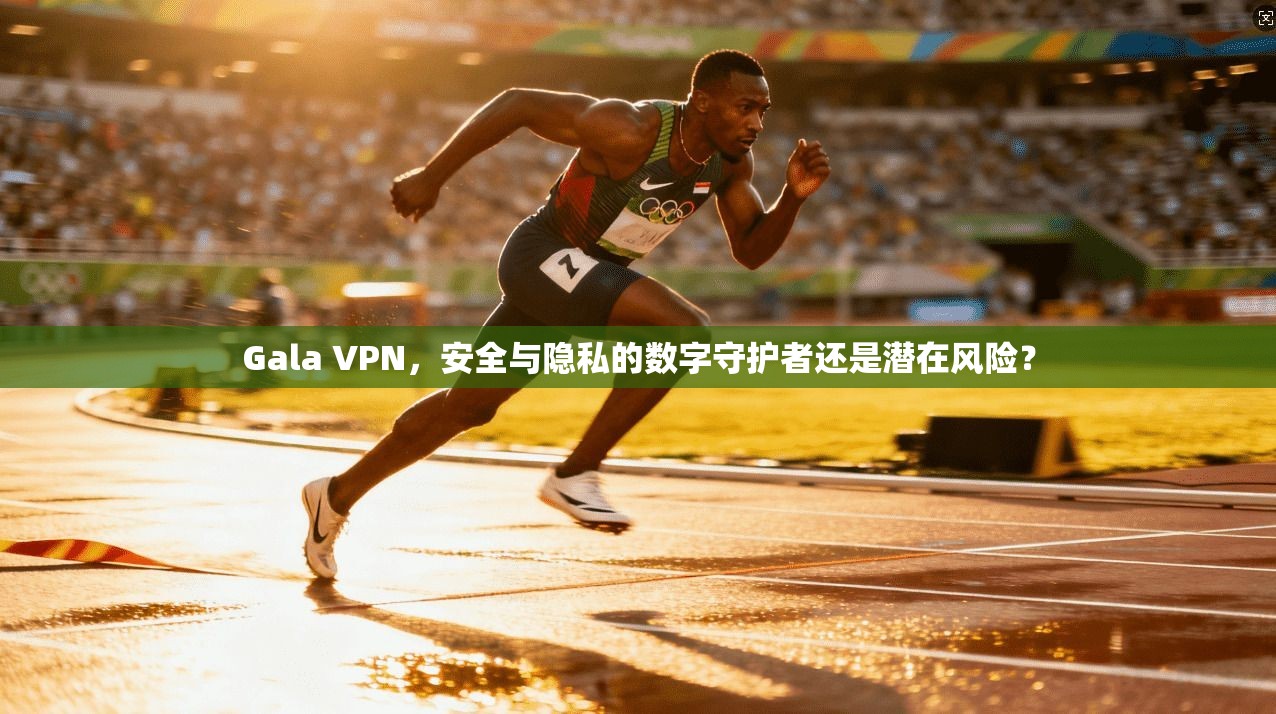 Gala VPN,安全与隐私的数字守护者还是潜在风险?