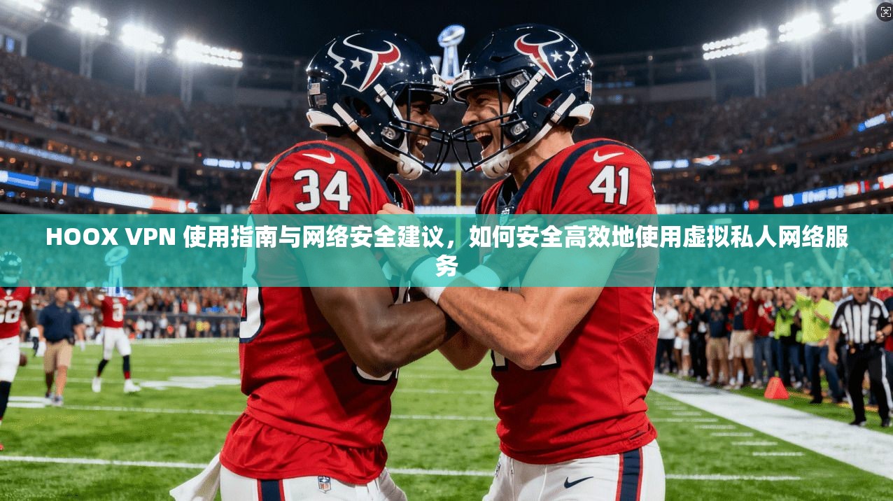 HOOX VPN 使用指南与网络安全建议，如何安全高效地使用虚拟私人网络服务