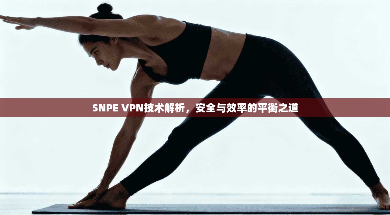 SNPE VPN技术解析,安全与效率的平衡之道