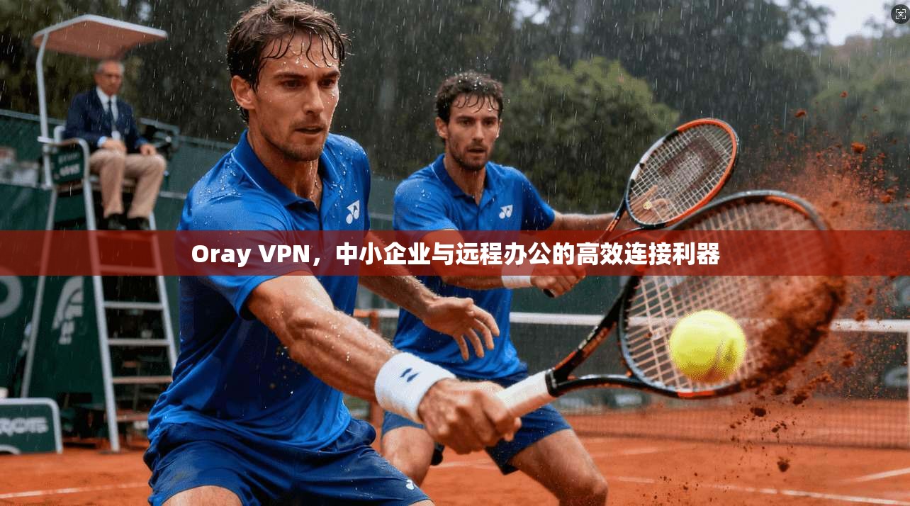 Oray VPN,中小企业与远程办公的高效连接利器 Oray VPN,中小企业与远程办公的高效连接利器