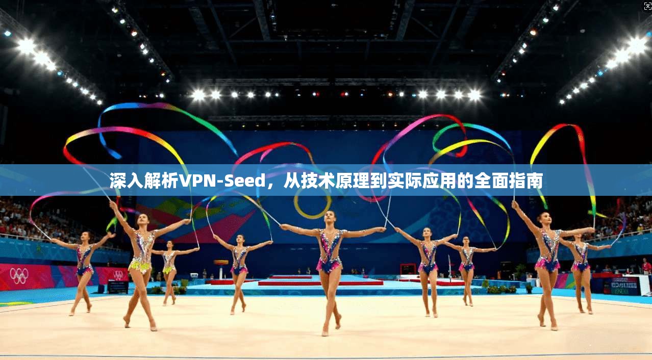 深入解析VPN-Seed,从技术原理到实际应用的全面指南