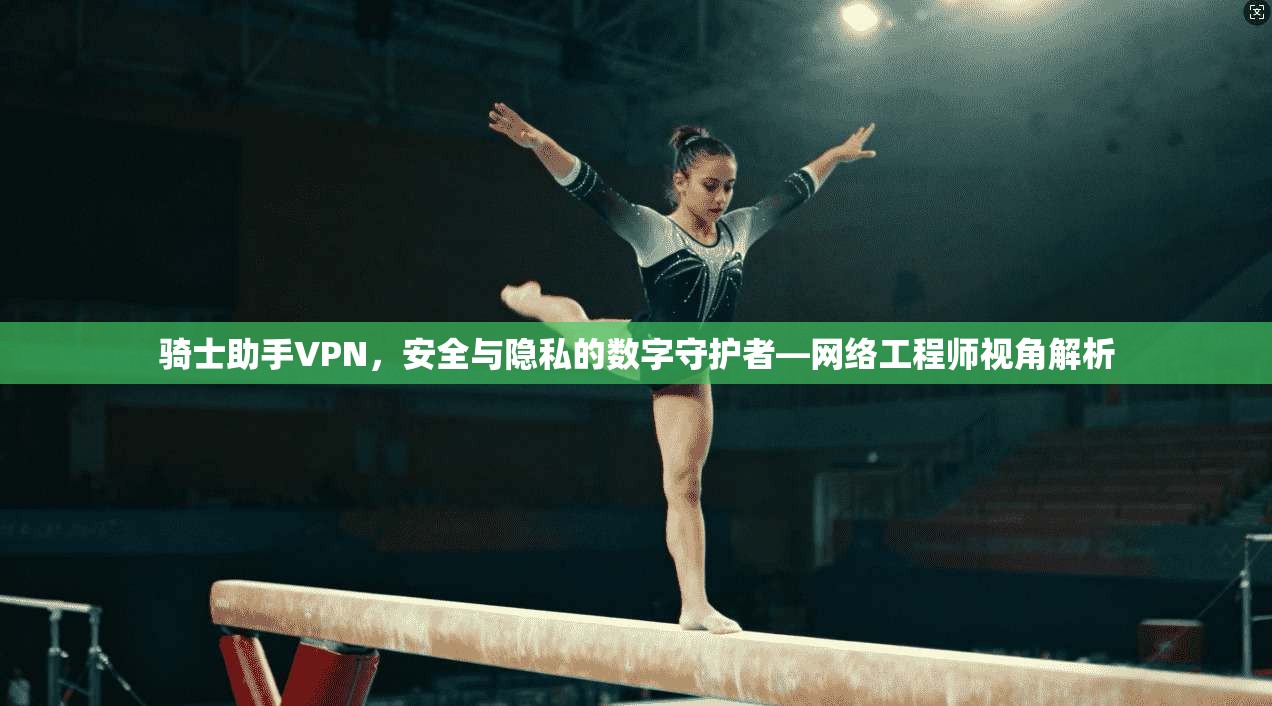 骑士助手VPN，安全与隐私的数字守护者—网络工程师视角解析