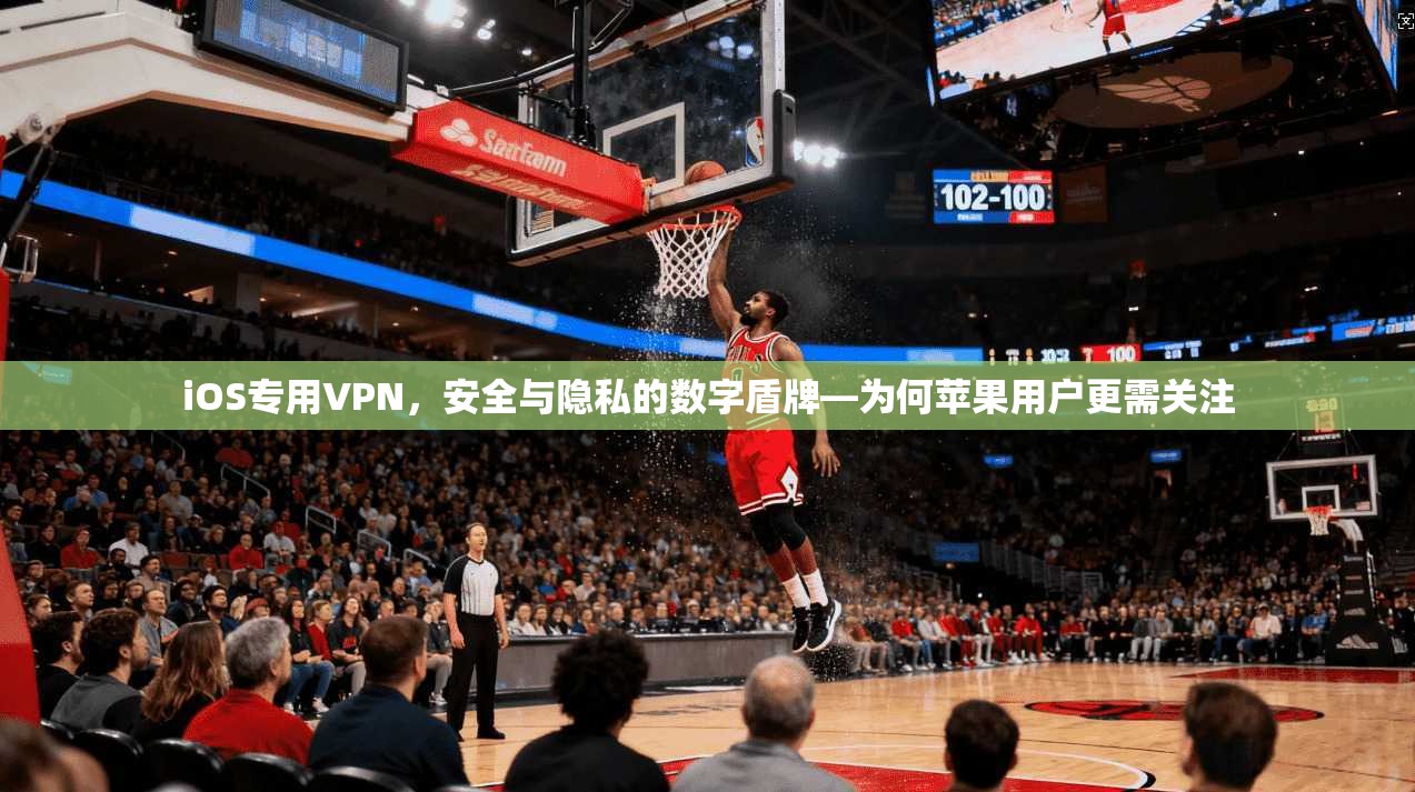iOS专用VPN,安全与隐私的数字盾牌—为何苹果用户更需关注