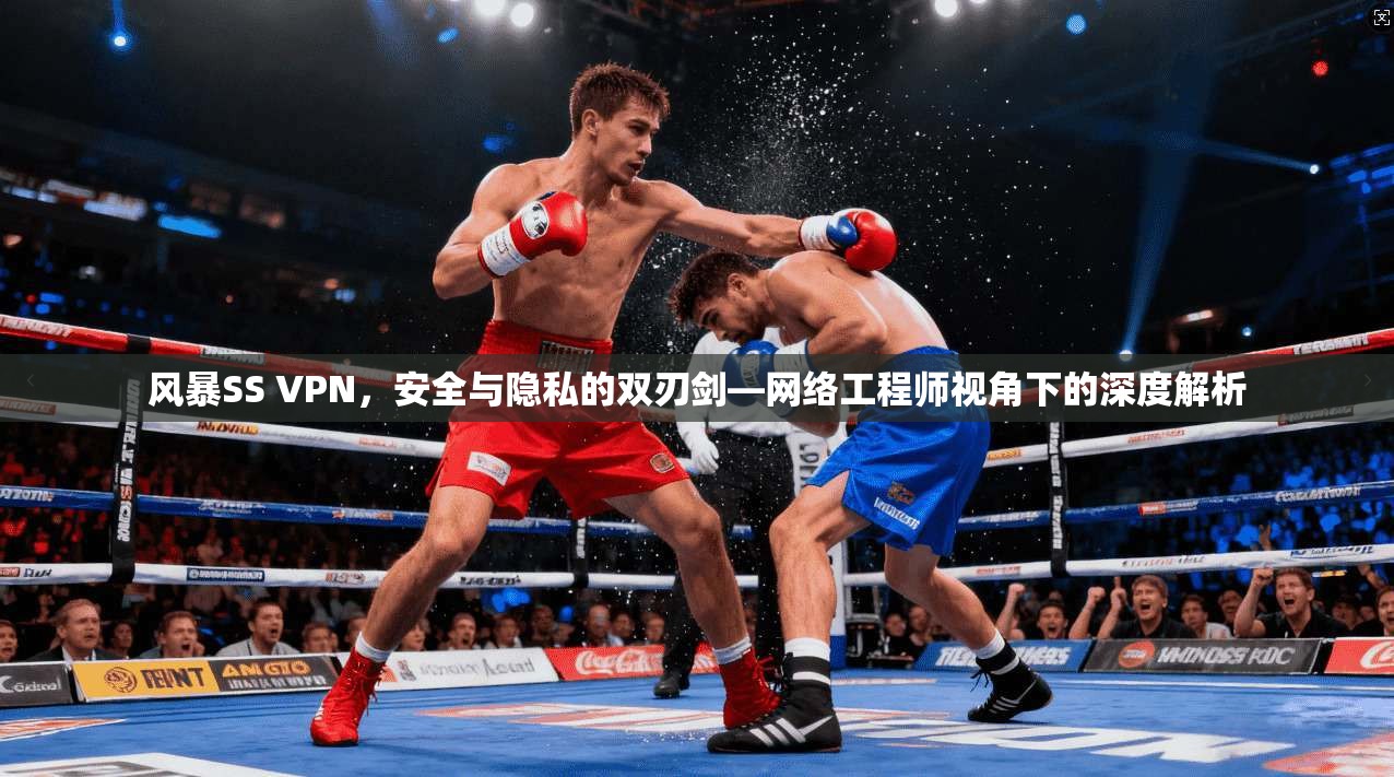 风暴SS VPN,安全与隐私的双刃剑—网络工程师视角下的深度解析
