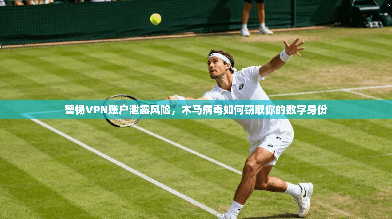 警惕VPN账户泄露风险，木马病毒如何窃取你的数字身份