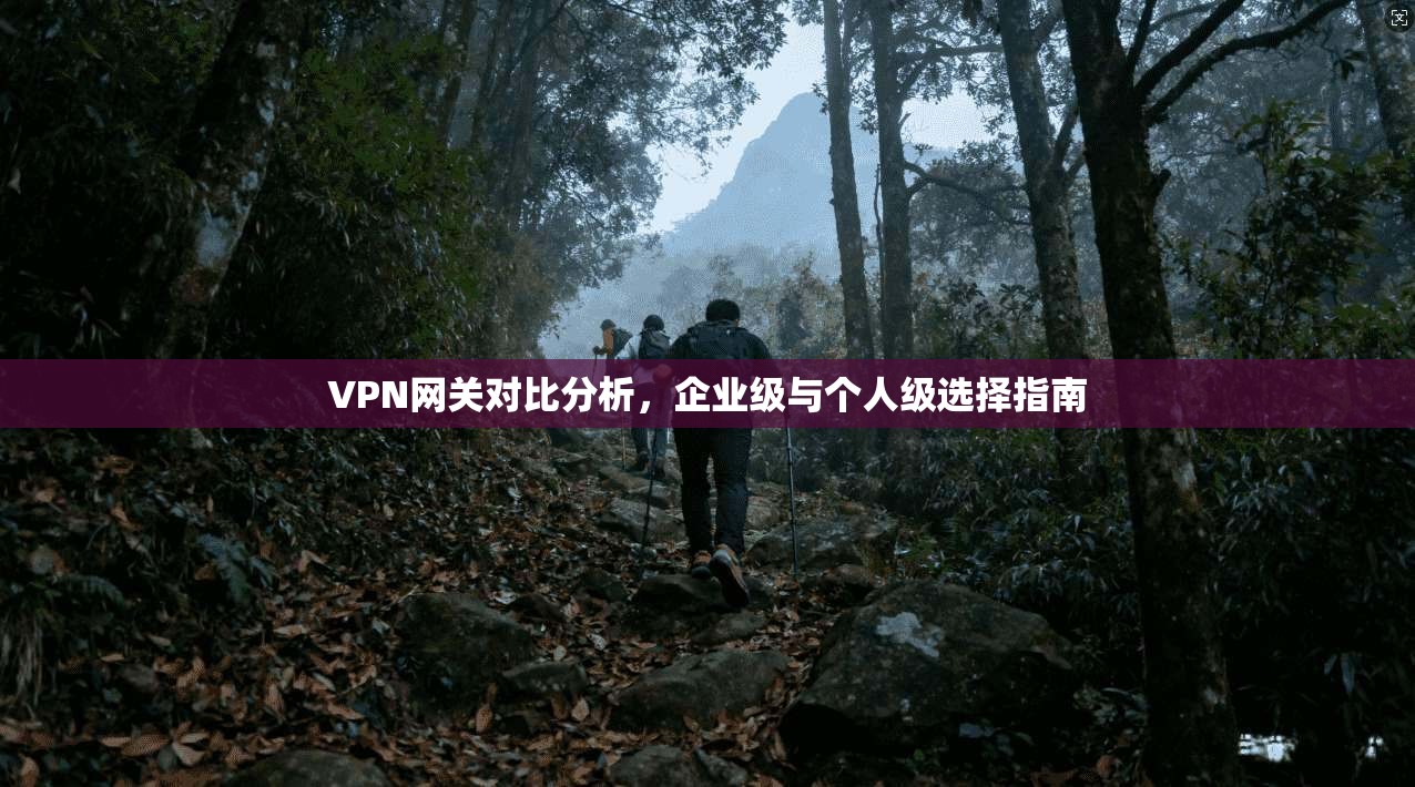 VPN网关对比分析,企业级与个人级选择指南