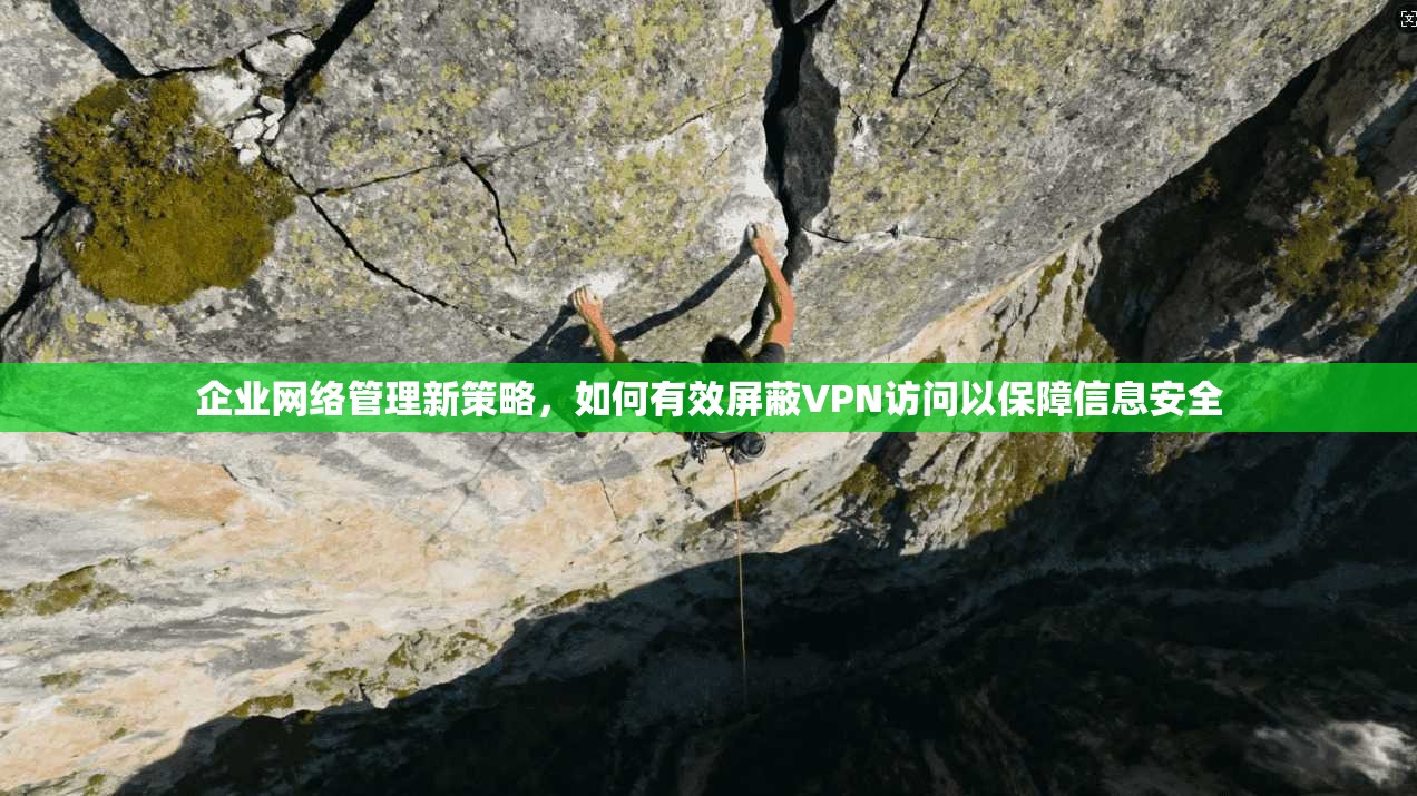 企业网络管理新策略，如何有效屏蔽VPN访问以保障信息安全