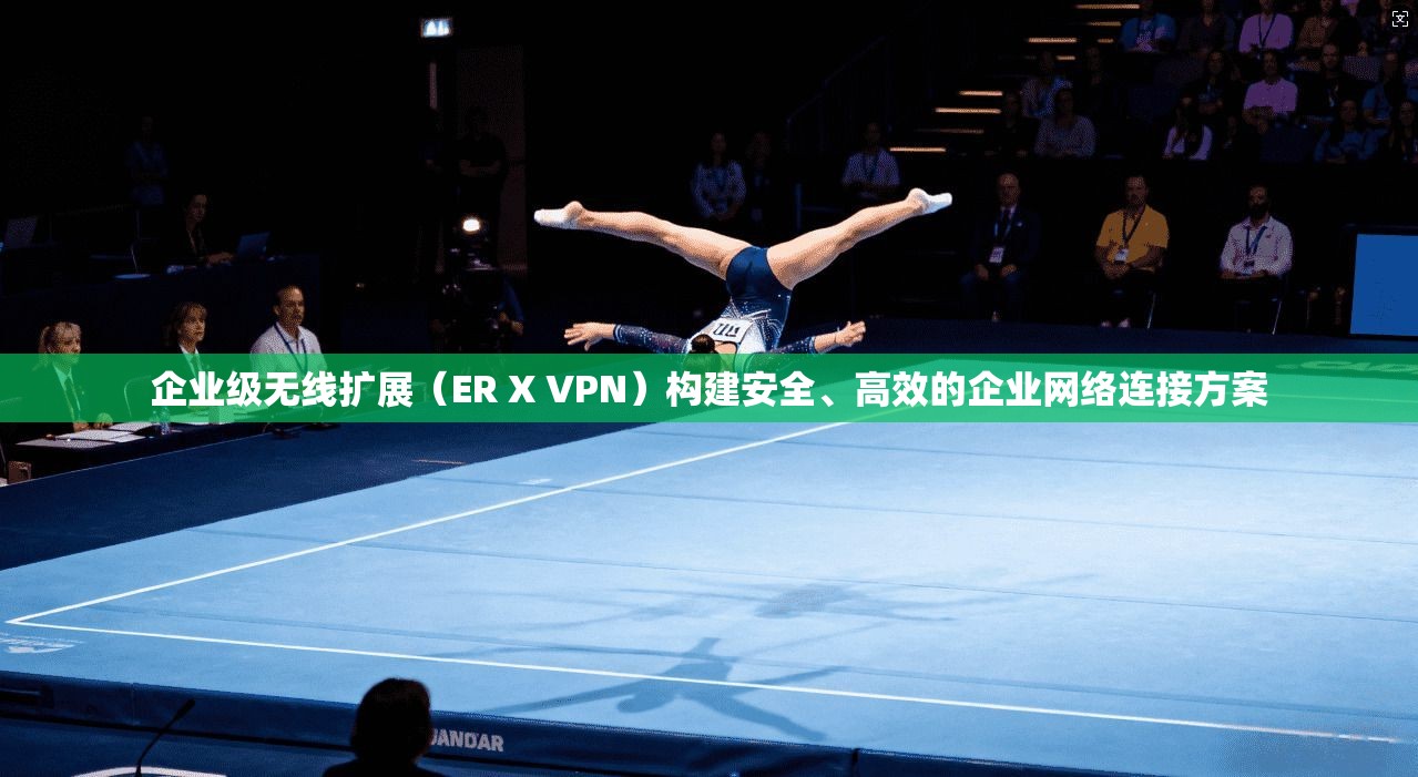 企业级无线扩展(ER X VPN)构建安全、高效的企业网络连接方案