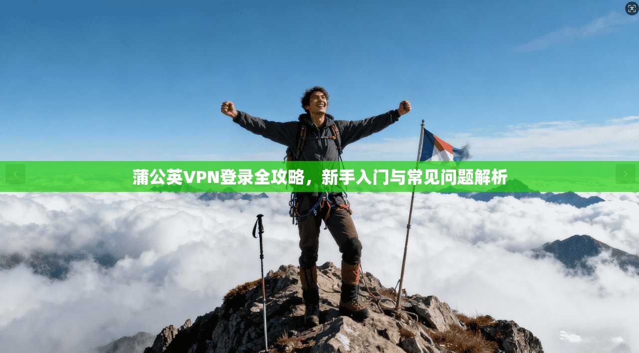 蒲公英VPN登录全攻略，新手入门与常见问题解析