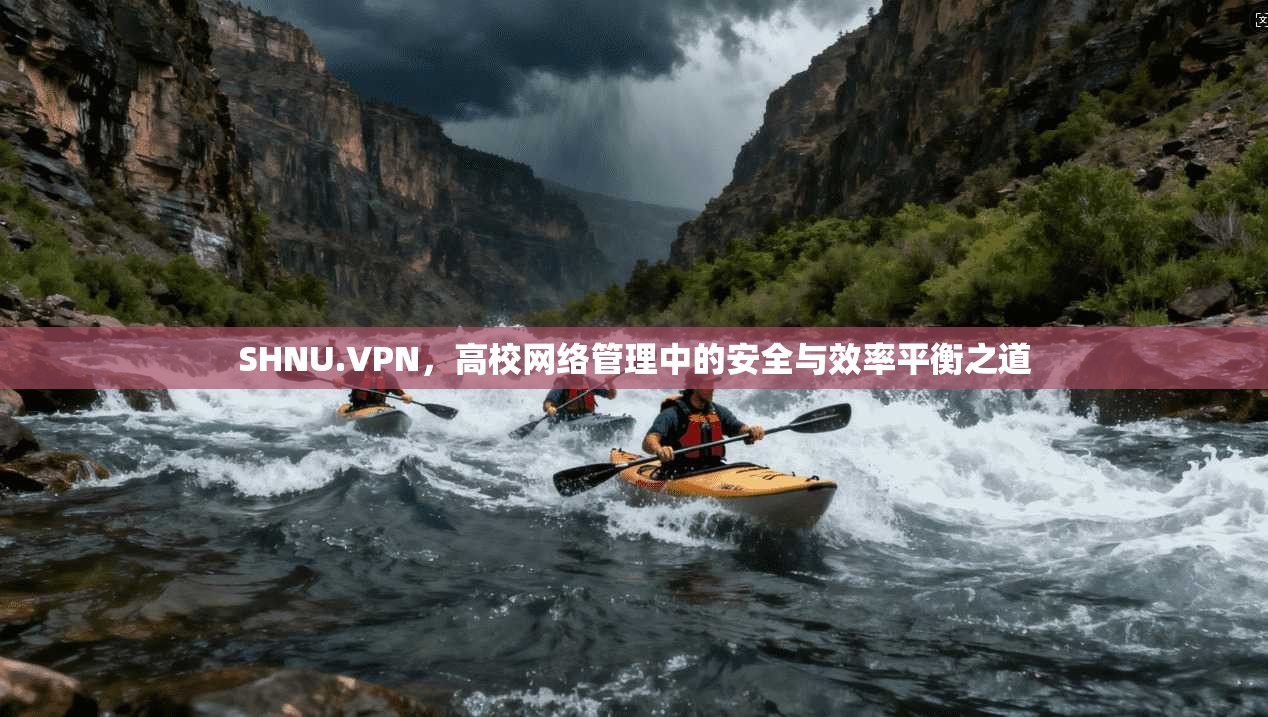 SHNU.VPN,高校网络管理中的安全与效率平衡之道