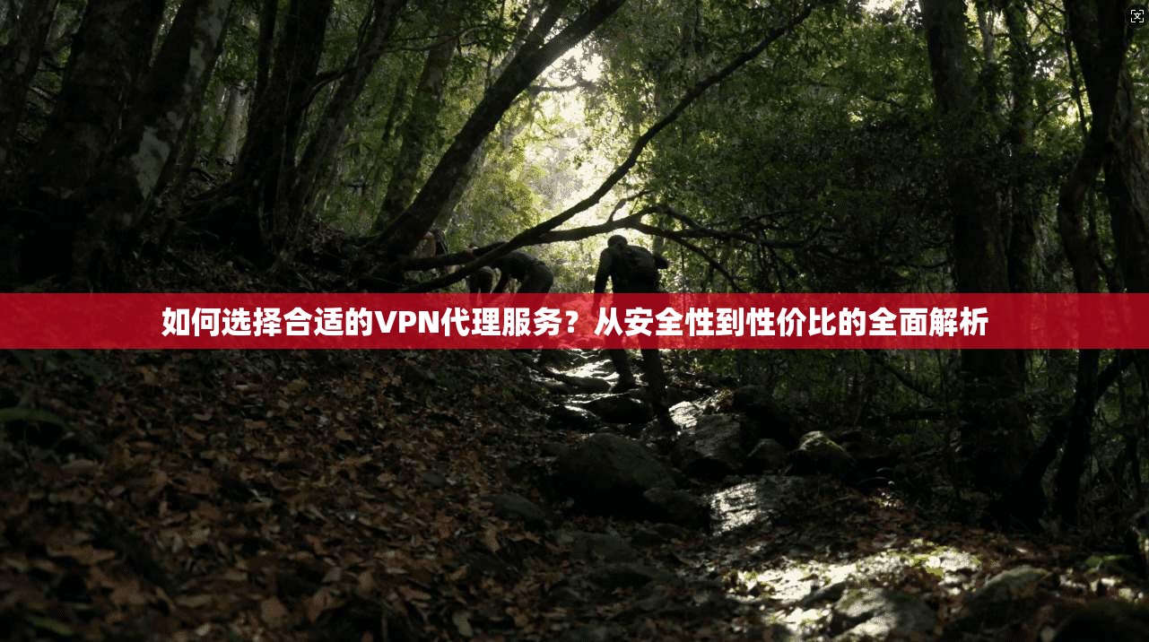 如何选择合适的VPN代理服务?从安全性到性价比的全面解析