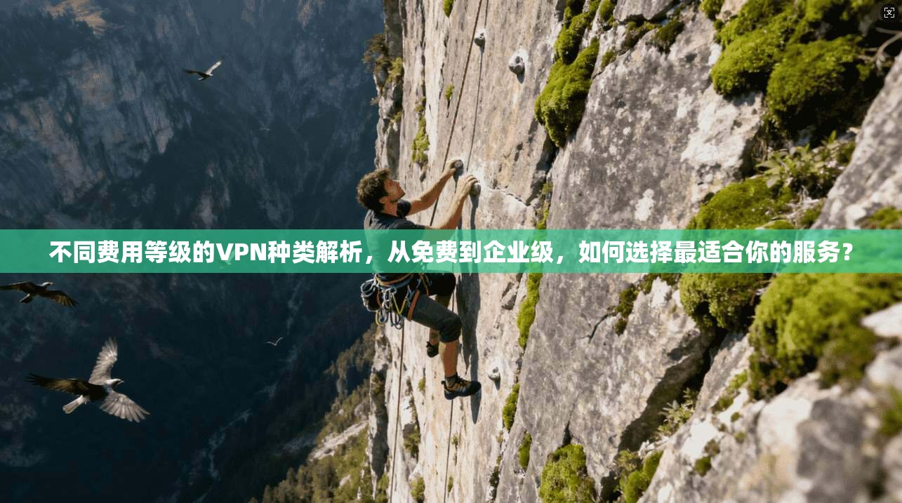 不同费用等级的VPN种类解析，从免费到企业级，如何选择最适合你的服务？