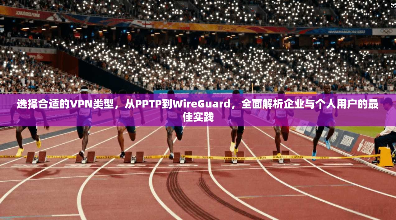 选择合适的VPN类型,从PPTP到WireGuard,全面解析企业与个人用户的最佳实践