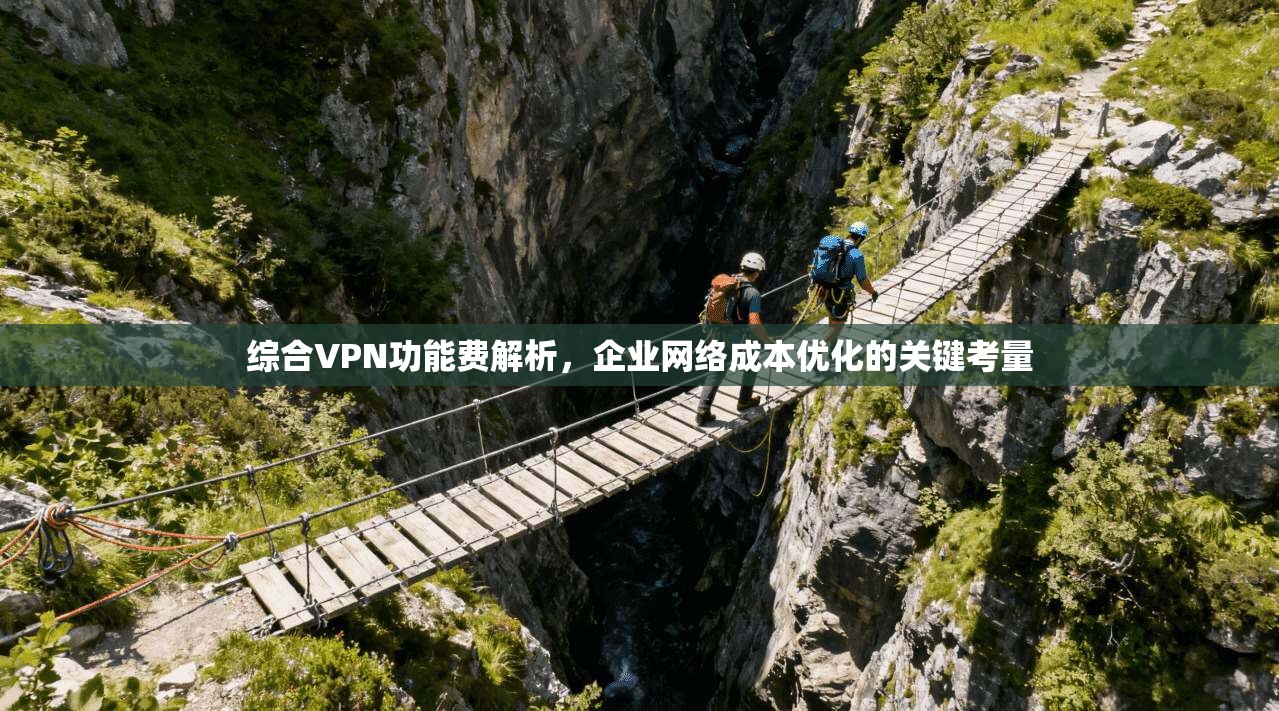 综合VPN功能费解析，企业网络成本优化的关键考量
