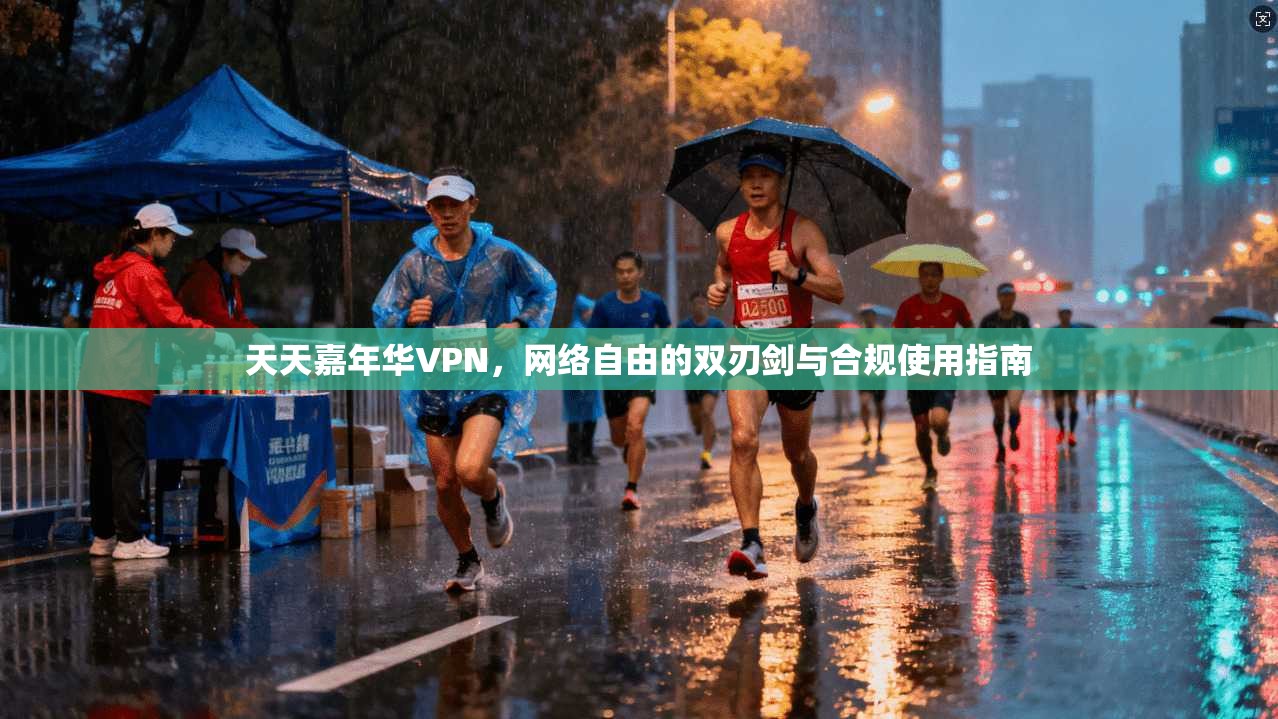 天天嘉年华VPN,网络自由的双刃剑与合规使用指南