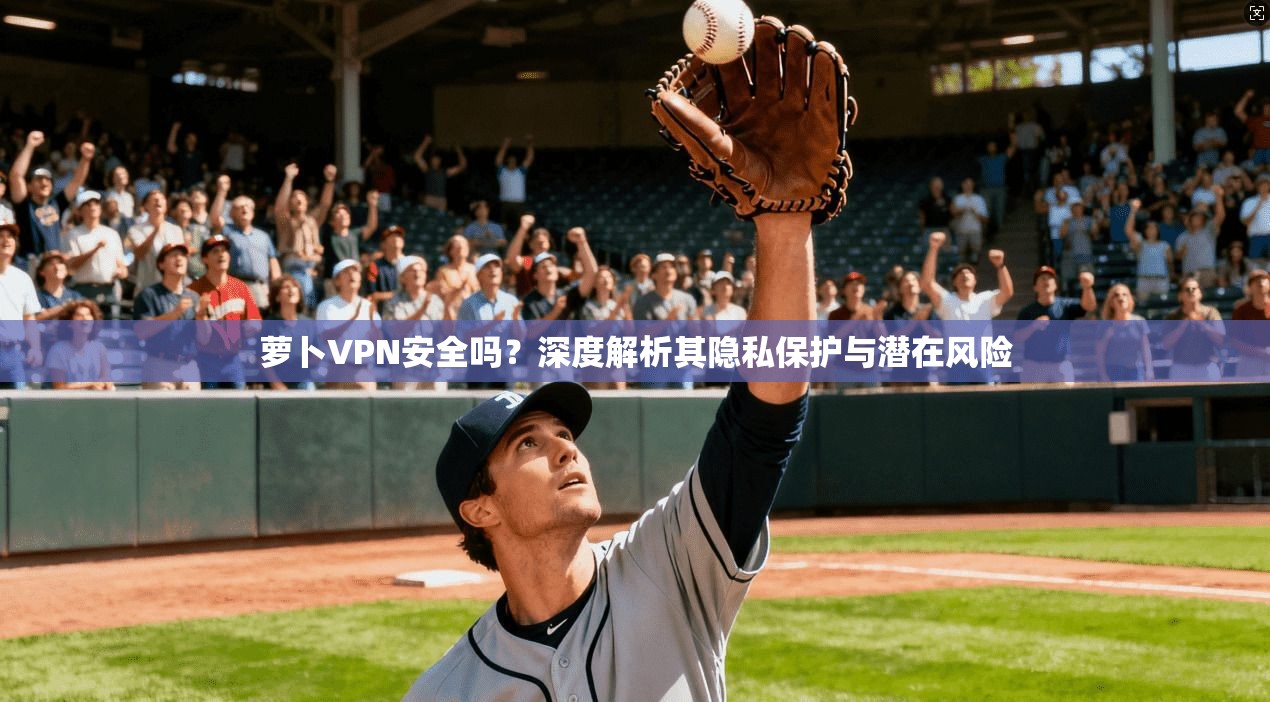 萝卜VPN安全吗？深度解析其隐私保护与潜在风险