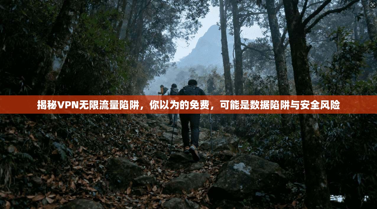 揭秘VPN无限流量陷阱，你以为的免费，可能是数据陷阱与安全风险