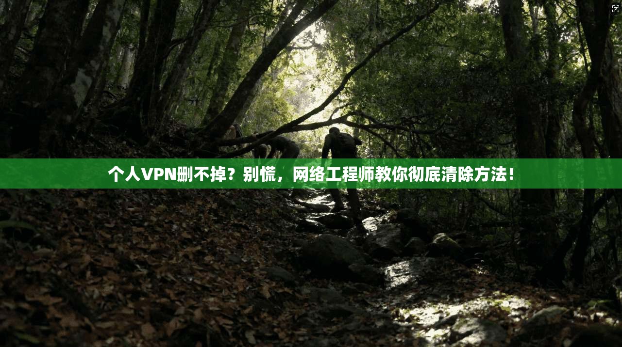 个人VPN删不掉？别慌，网络工程师教你彻底清除方法！
