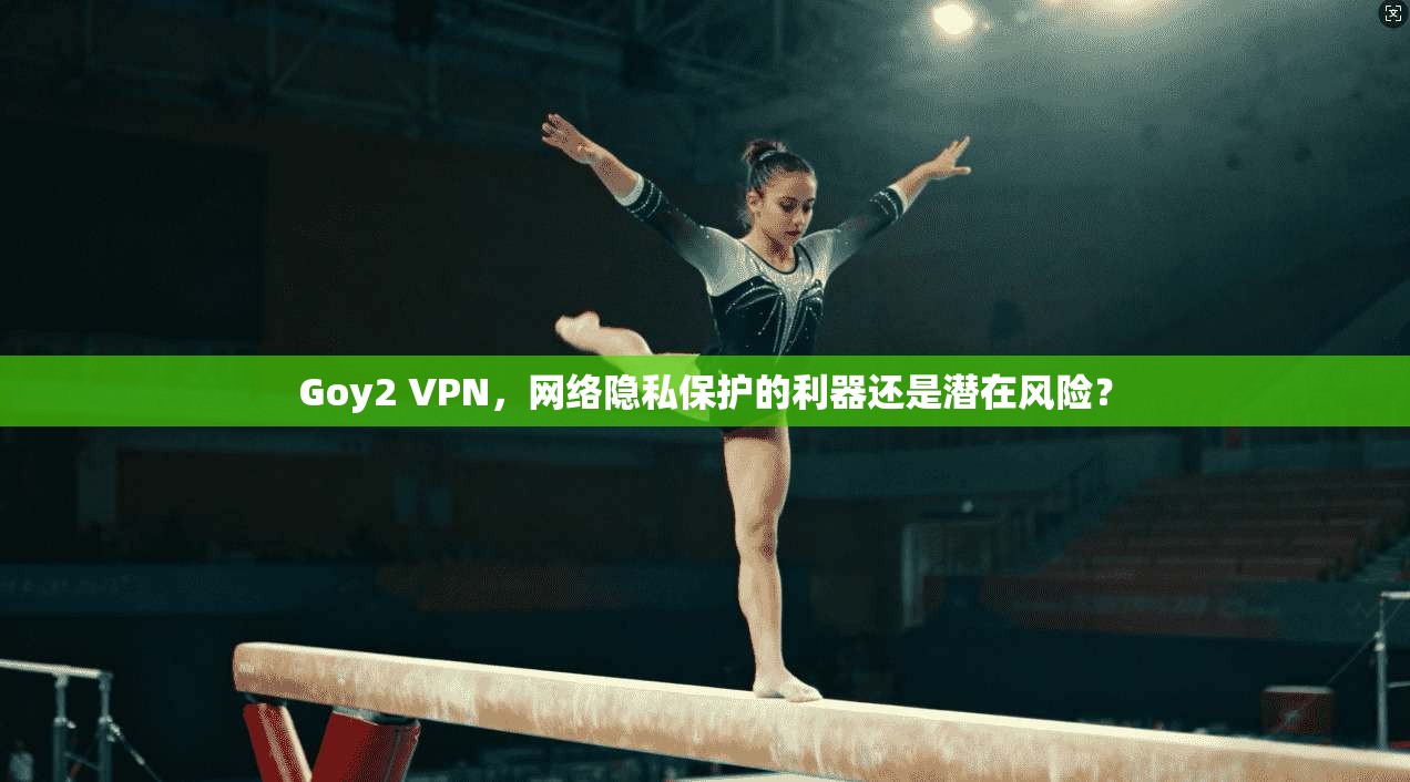 Goy2 VPN，网络隐私保护的利器还是潜在风险？