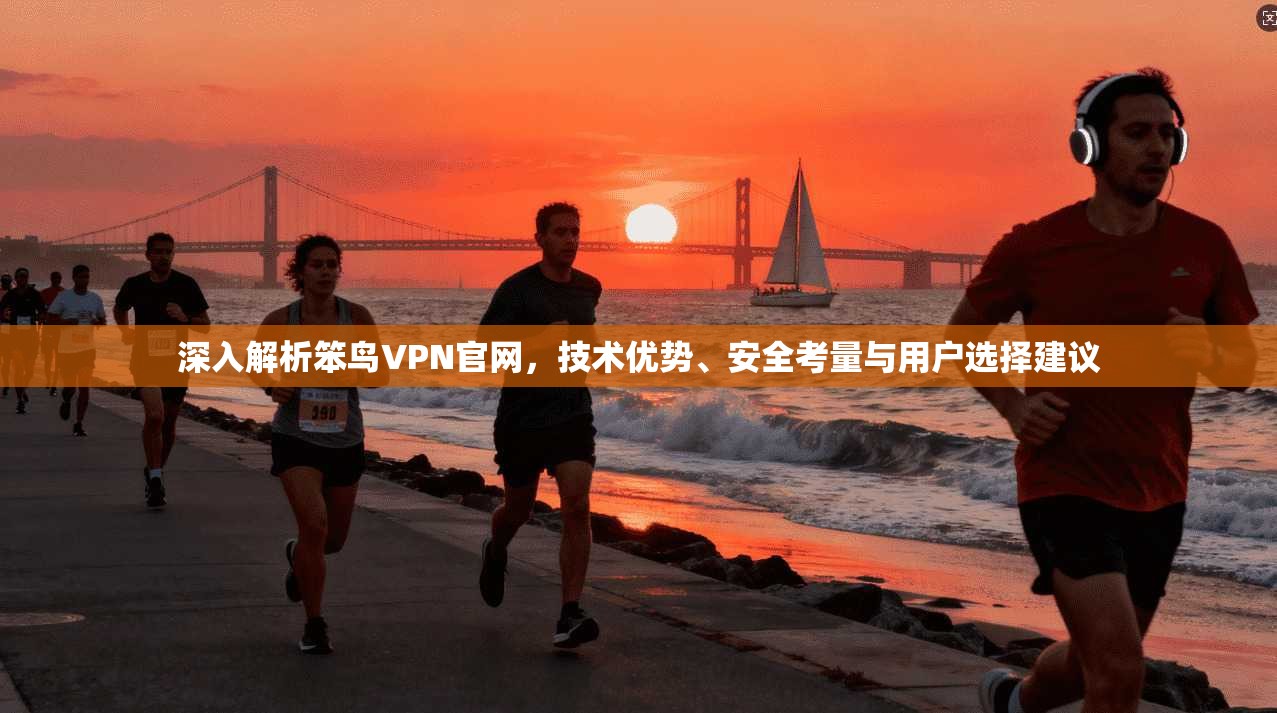 深入解析笨鸟VPN官网，技术优势、安全考量与用户选择建议