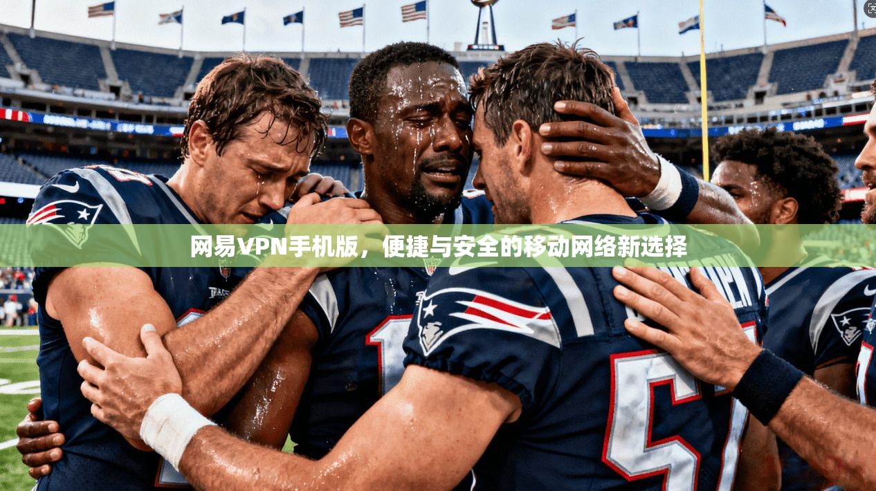 网易VPN手机版，便捷与安全的移动网络新选择