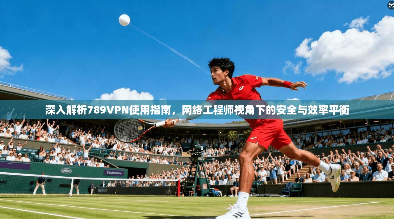深入解析789VPN使用指南,网络工程师视角下的安全与效率平衡